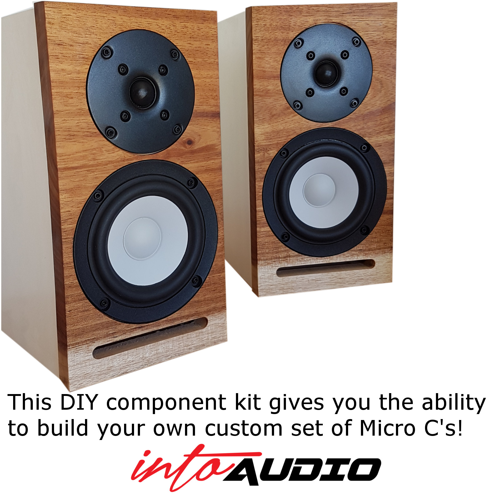 SB Acoustics Micro C – DIY Component Kit | IntoAudio